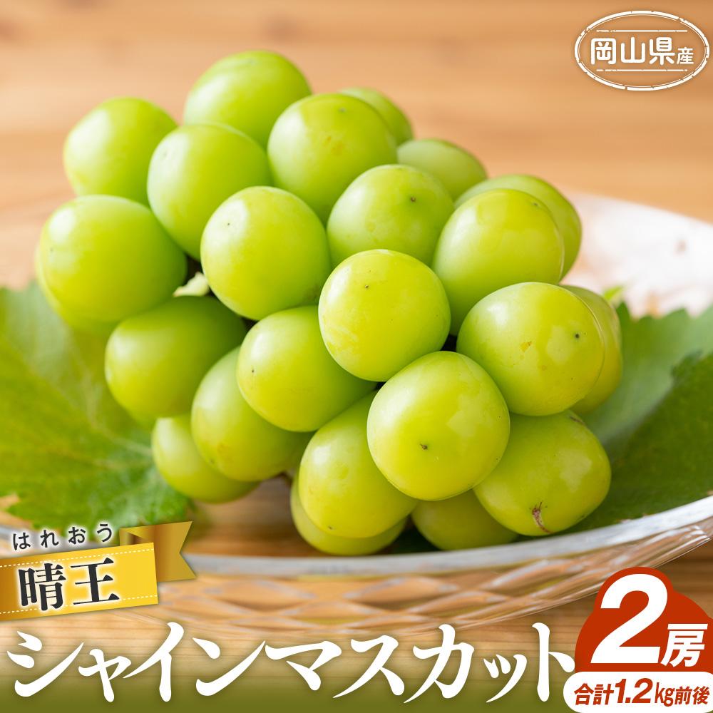 シャインマスカット 2025年 晴王 2房 合計1.2kg前後 マスカット ブドウ 葡萄 岡山県産 国産 フルーツ 果物 ギフト | フルーツ 果物 くだもの 食品 人気 おすすめ 送料無料