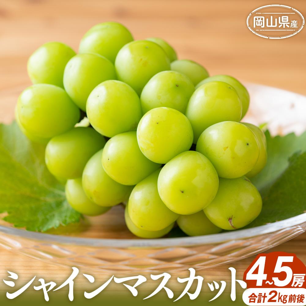 ぶどう 2025年 シャインマスカット 4～5房 合計2.0kg前後 岡山県産 | フルーツ 果物 くだもの 食品 人気 おすすめ 送料無料