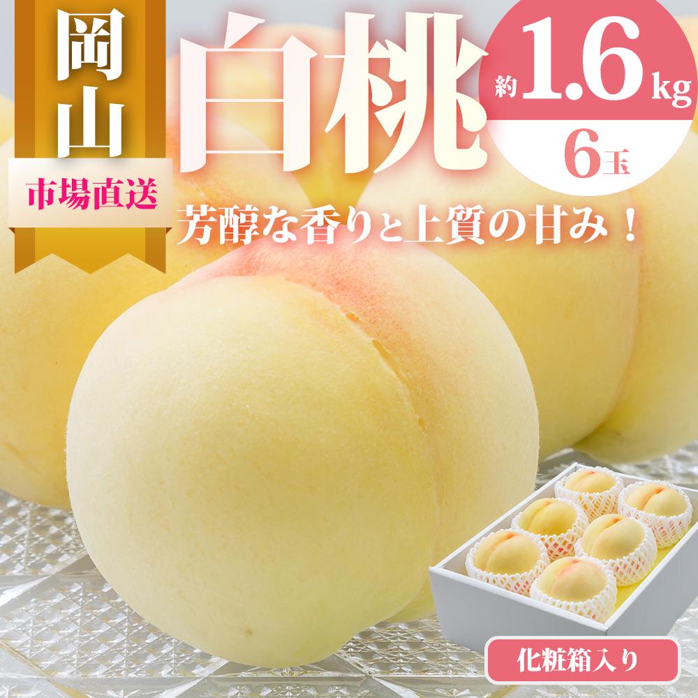 桃 2026年 岡山 白桃 6玉（合計1.6kg以上）化粧箱入り もも モモ 岡山県産 国産 フルーツ 果物 ギフト | もも フルーツ 果物 くだもの 食品 人気 おすすめ 送料無料