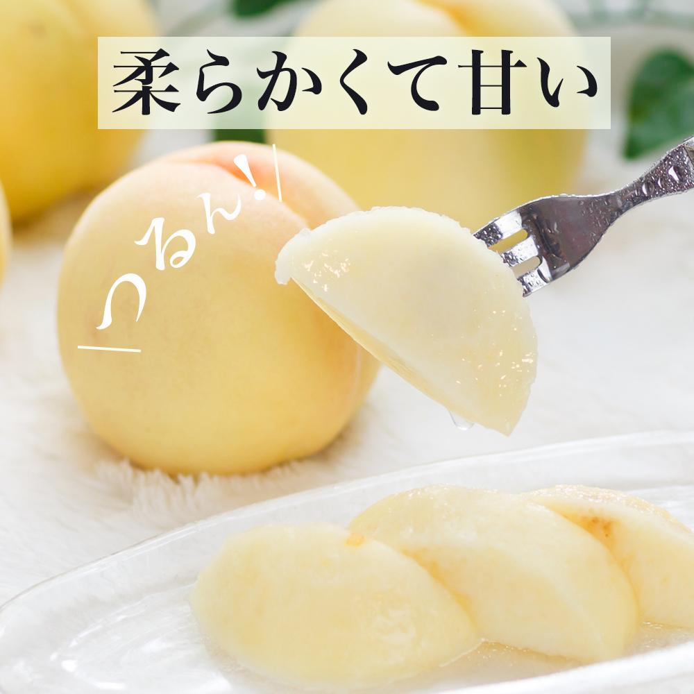 【ふるさと納税】桃 2026年 岡山 白桃 6玉（合計1.6kg以上）化粧箱入り もも モモ 岡山県産 国産 フルーツ 果物 ギフト | もも フルーツ 果物 くだもの 食品 人気 おすすめ 送料無料 サムネイル2