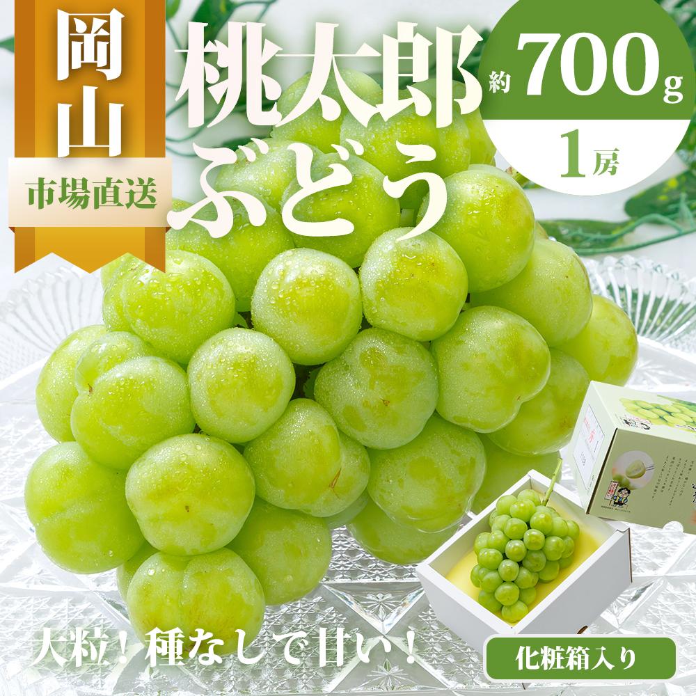 ぶどう 2026年 桃太郎 ぶどう 1房（700g以上）化粧箱入り ブドウ 葡萄 岡山県産 国産 フルーツ 果物 ギフト | フルーツ 果物 くだもの 食品 人気 おすすめ 送料無料