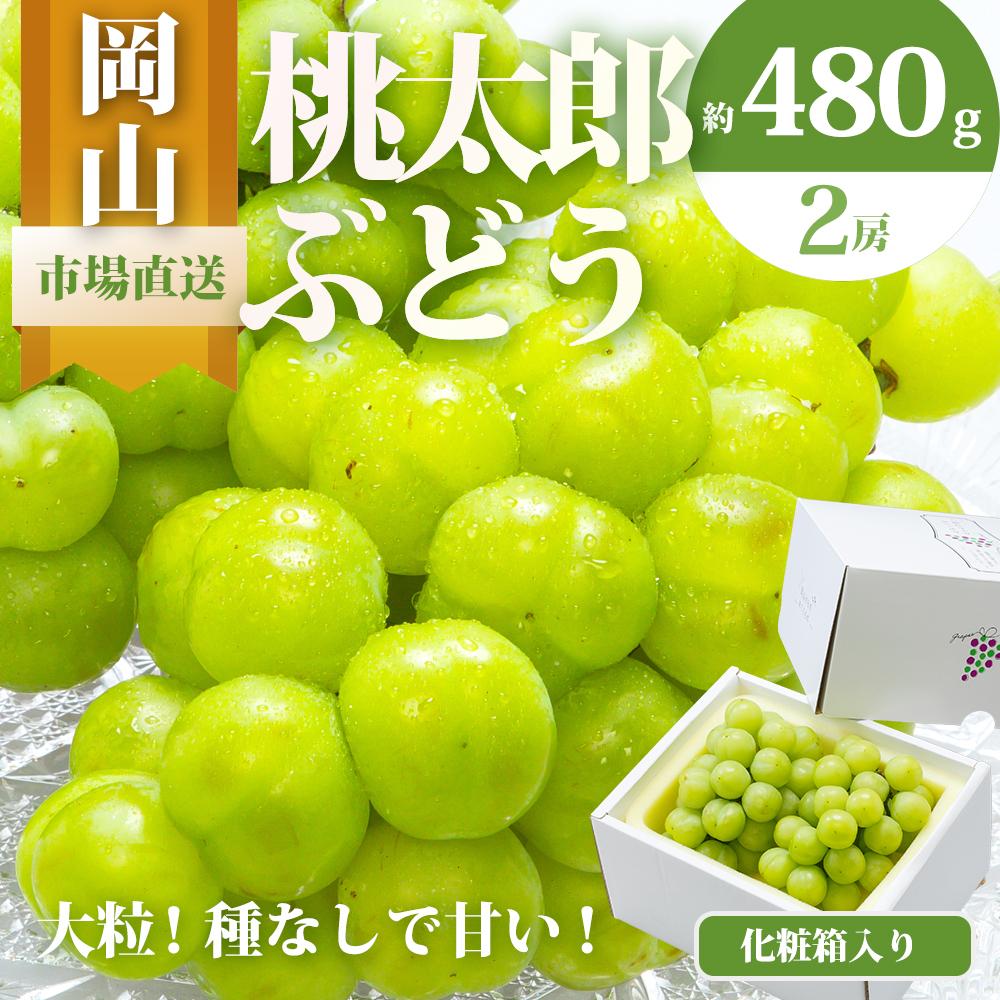 ぶどう 2026年 桃太郎 ぶどう 2房（1房480g以上）化粧箱入り ブドウ 葡萄 岡山県産 国産 フルーツ 果物 ギフト | フルーツ 果物 くだもの 食品 人気 おすすめ 送料無料