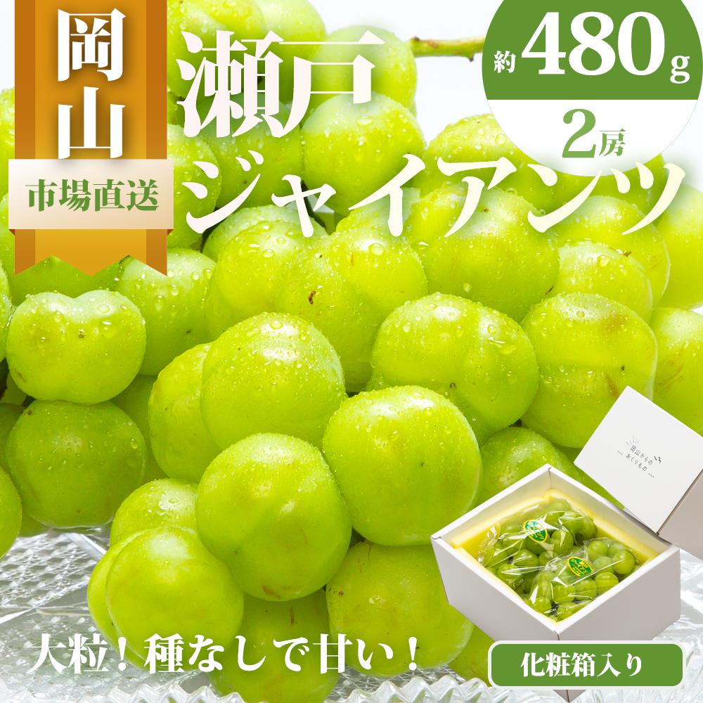 ぶどう 2026年 瀬戸 ジャイアンツ 2房（1房480g以上）約1kg 化粧箱入り ブドウ 葡萄 岡山県産 国産 フルーツ 果物 ギフト | フルーツ 果物 くだもの 食品 人気 おすすめ 送料無料