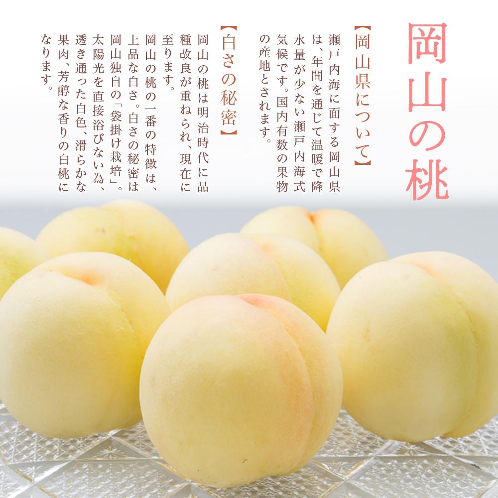 【ふるさと納税】桃 2026年 岡山 白桃 6玉（合計1.6kg以上）化粧箱入り もも モモ 岡山県産 国産 フルーツ 果物 ギフト | もも フルーツ 果物 くだもの 食品 人気 おすすめ 送料無料 サムネイル3