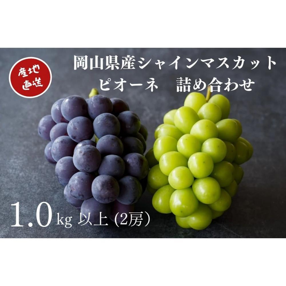 厳選 シャインマスカット・ニューピオーネ 2房 合計1.0kg以上 詰合せ 産地直送 朝採れ ぶどう 葡萄 Kawahara Green Farm 岡山県産 2026年 | 果物 フルーツ 岡山のブドウ デザート 食べ物 国産 日本産