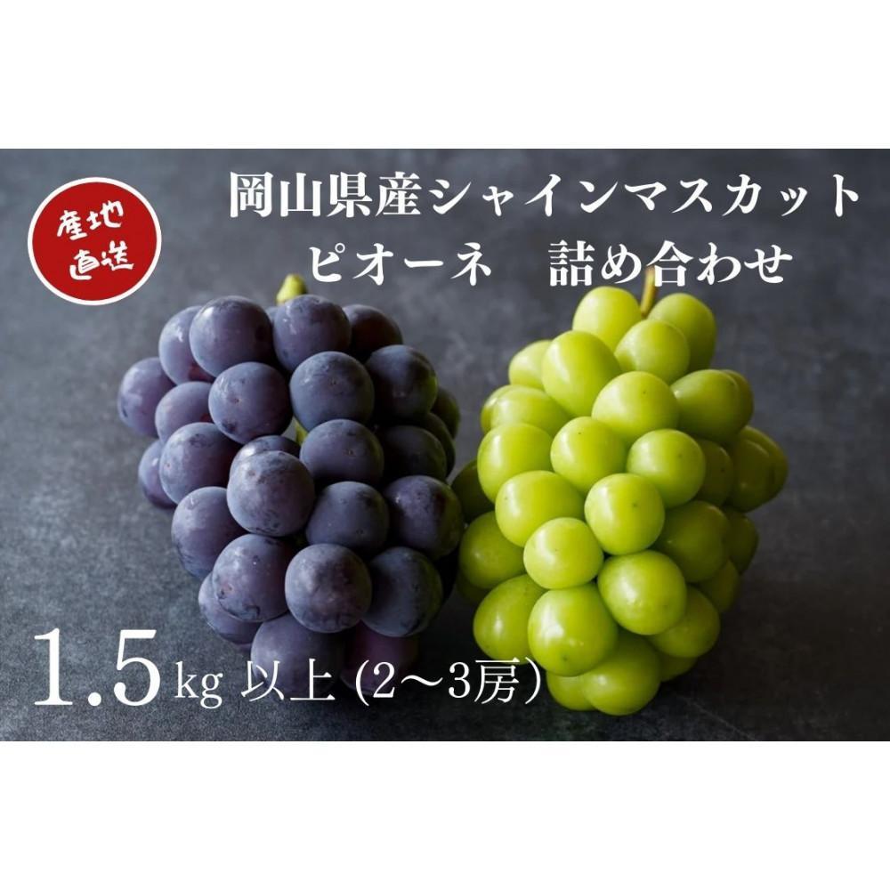厳選 シャインマスカット・ニューピオーネ 2～3房 合計1.5kg以上 詰合せ 産地直送 朝採れ ぶどう 葡萄 Kawahara Green Farm 岡山県産 2026年 | 果物 フルーツ 岡山のブドウ デザート 食べ物 国産 日本産