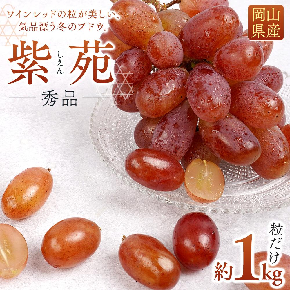 ぶどう 2026年 紫苑 粒だけ 約1kg 岡山 国産 果物 フルーツ 2026年10月上旬から発送 | フルーツ 果物 くだもの 食品 人気 おすすめ 送料無料