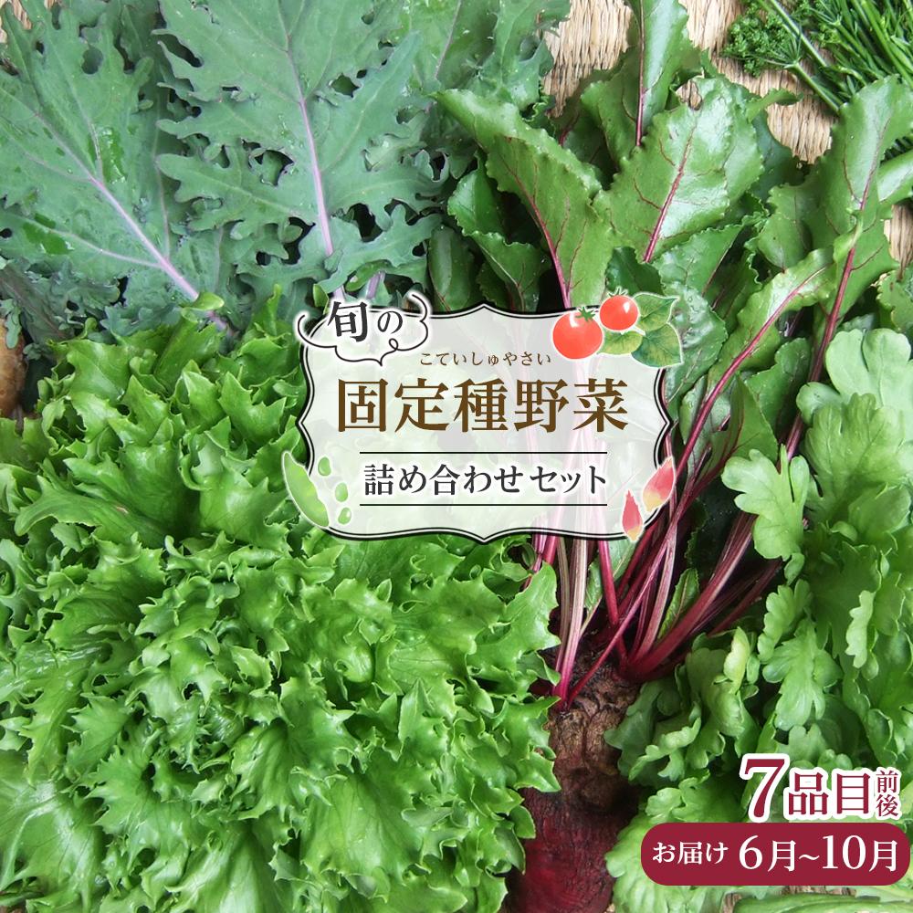 野菜 旬の「固定種」野菜 バイオダイナミック農業 7品目前後（6月～10月のお届け）冷蔵配送 | 野菜 やさい 食品 人気 おすすめ 送料無料