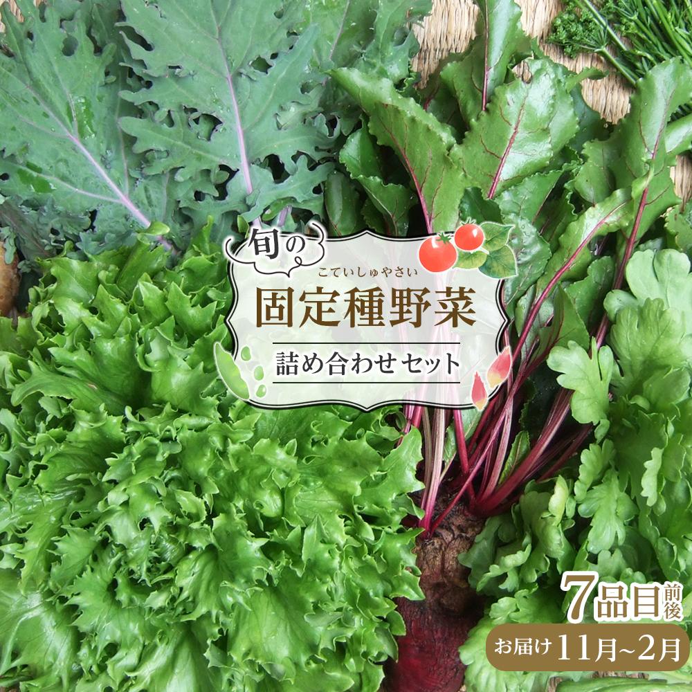 野菜 2026年 旬の固定種野菜 バイオダイナミック農業 7品目前後（11月～2月のお届け）常温配送 | 野菜 やさい 食品 人気 おすすめ 送料無料