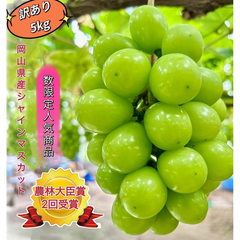 ぶどう 2026年 シャインマスカット 家庭用 約5kg | フルーツ 果物 くだもの シャインマスカット マスカット 訳あり 岡山県産 岡山 2026年7月中旬から発送