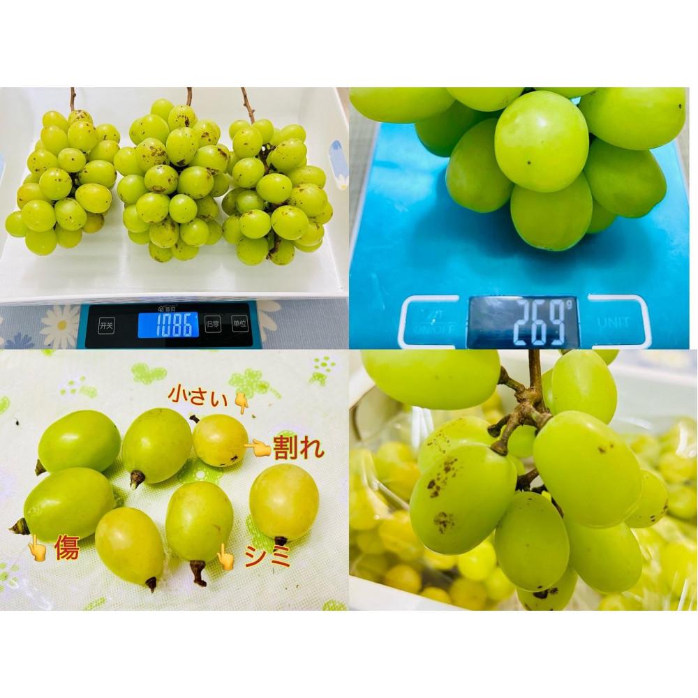 【ふるさと納税】ぶどう 2026年 シャインマスカット 家庭用 約5kg | フルーツ 果物 くだもの シャインマスカット マスカット 訳あり 岡山県産 岡山 2026年7月中旬から発送 サムネイル3