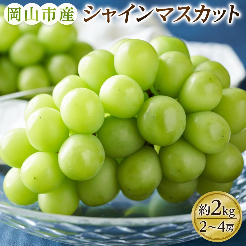 ぶどう 2025年 シャインマスカット 2～4房（約2kg） ブドウ 葡萄 岡山市産 国産 フルーツ 果物 ギフトタンポポ農園 | フルーツ 果物 くだもの 食品 人気 おすすめ 送料無料
