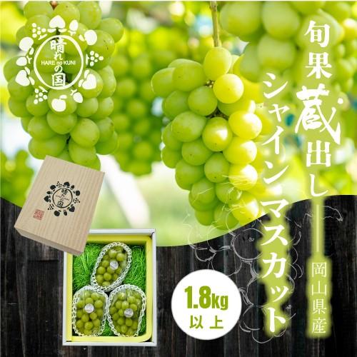 【旬果蔵出し】岡山県産 シャインマスカット 1.8kg以上（2～3房）＜2025年12月上旬～2026年1月下旬発送＞ | シャインマスカット 岡山 シャイン マスカット 岡山県 ぶどう 葡萄 数量限定 果物 フルーツ 送料無料 詰め合わせ セット くだもの 食品 人気