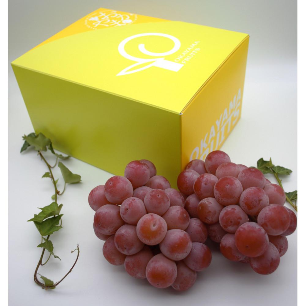 ぶどう 2026年　ご家庭用　岡山県産クインニーナ1.2kg（2～3房） | ぶどう フルーツ 果物 くだもの 食品