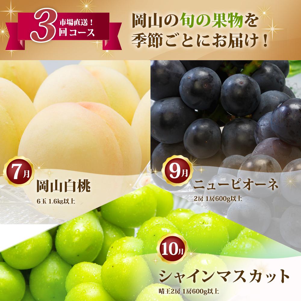 【ふるさと納税】フルーツ 定期便 2026年 フルーツ王国 岡山 厳選 果物 （7月 9月 10月）3回コース 桃 もも 葡萄 ぶどう 岡山県産 国産 セット ギフト | もも フルーツ 果物 くだもの 食品 人気 おすすめ サムネイル2