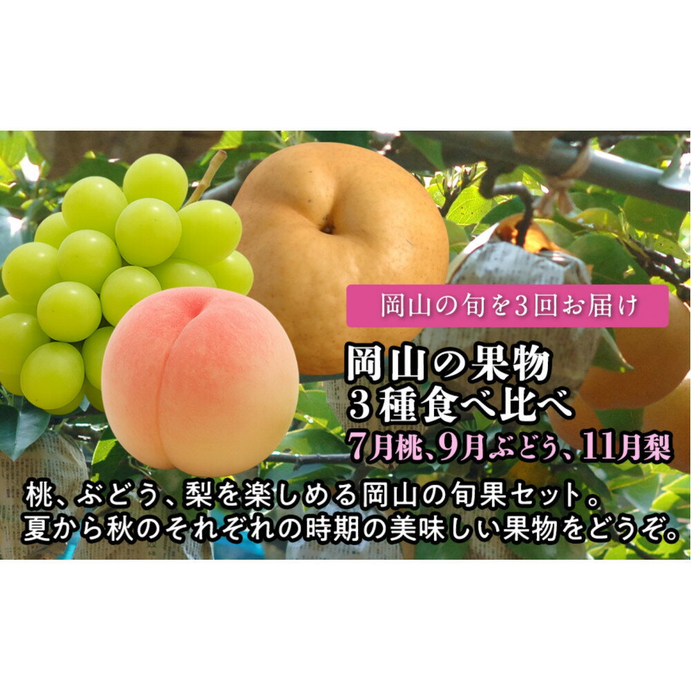 【定期便】岡山の果物　3種食べ比べ（7月桃・9月ぶどう・11月梨）【2026年度発送】 | フルーツ 果物 くだもの 食品 人気 おすすめ 送料無料