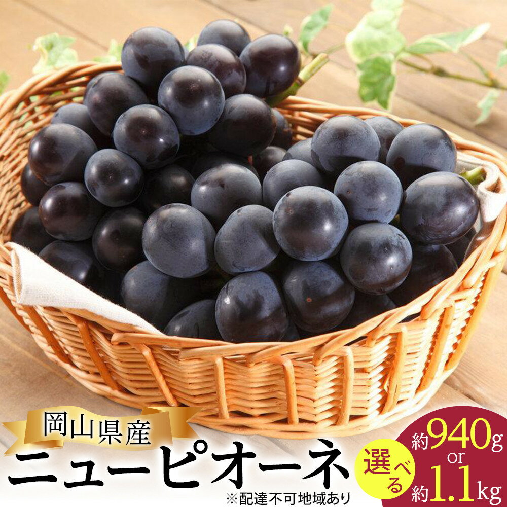 ぶどう 2026年 ニュー ピオーネ 約940g または 約1.1kg 化粧箱入り ブドウ 葡萄 岡山県産 国産 フルーツ 果物 ギフト | フルーツ 果物 くだもの 食品 人気 おすすめ 送料無料