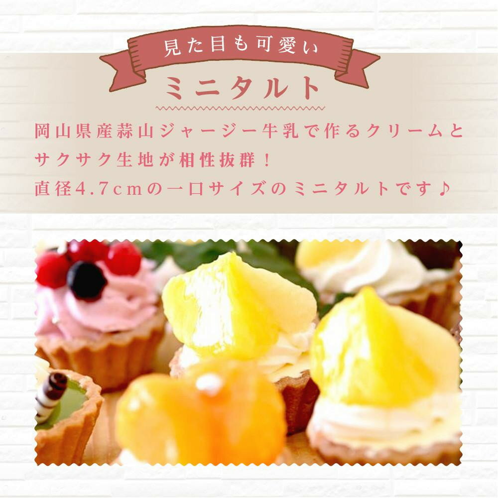 【ふるさと納税】＜一口サイズの見た目も可愛いみにたると♪＞ミニタルト 厳選5種 20個入 フレッシュタルトのお店 STYLE 岡山にあるタルト専門店 離島配送不可 | タルト スイーツ お菓子 洋菓子 フルーツ 果物 デザート お取り寄せ 詰め合わせ 食べ比べ 岡山 人気 おすすめ - 画像2