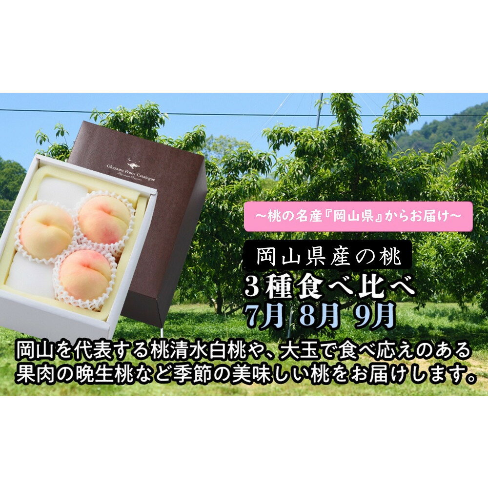【定期便】岡山県産の桃　3種食べ比べ（7月・8月・9月）【2026年度発送】 | もも フルーツ 果物 くだもの 食品 人気 おすすめ 送料無料