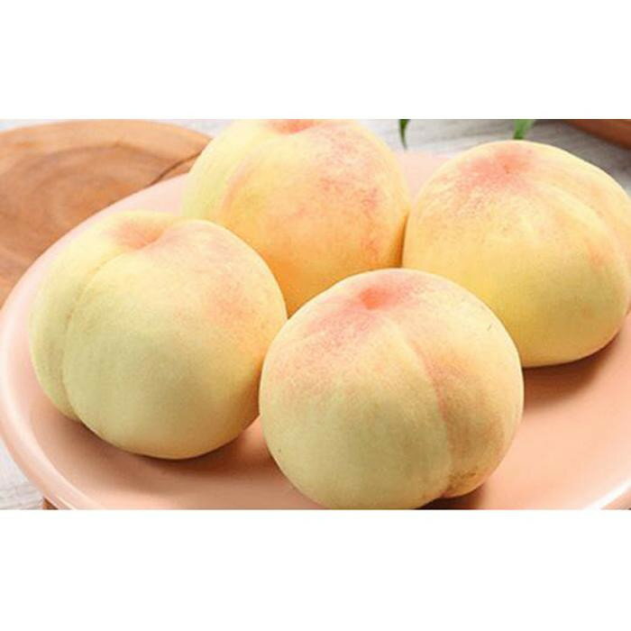 【ふるさと納税】桃 2026年 8月発送 ご家庭用 岡山の 白桃（早生、中生種）約2.0kg 7～9玉 もも モモ フルーツ 果物 岡山市 一宮地区産 国産 赤木農園 サムネイル2