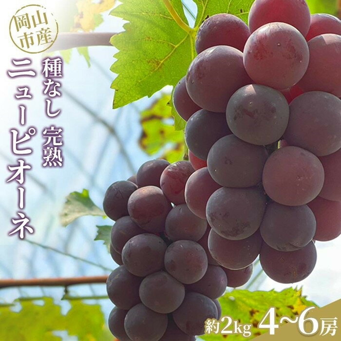 ぶどう 2026年 種なし完熟 ニューピオーネ 約2kg（4～6房）岡山市産 渡邊農園 | フルーツ 果物 くだもの 食品 人気 おすすめ 送料無料