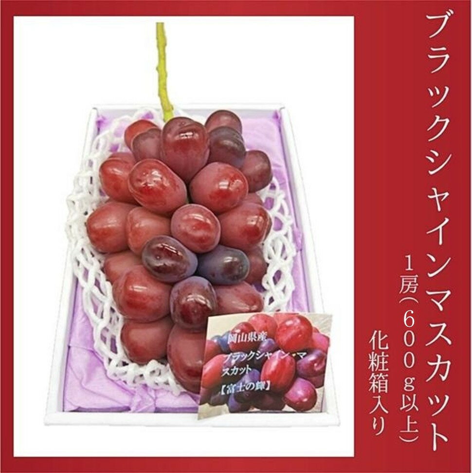 2026年 岡山県産 ブラックシャインマスカット 1房 600g以上 種無し 化粧箱入り | フルーツ 果物 くだもの シャインマスカット ブラックシャインマスカット 種なし 岡山 岡山県産 国産 ギフト プレゼント 贈答用 おすすめ 人気