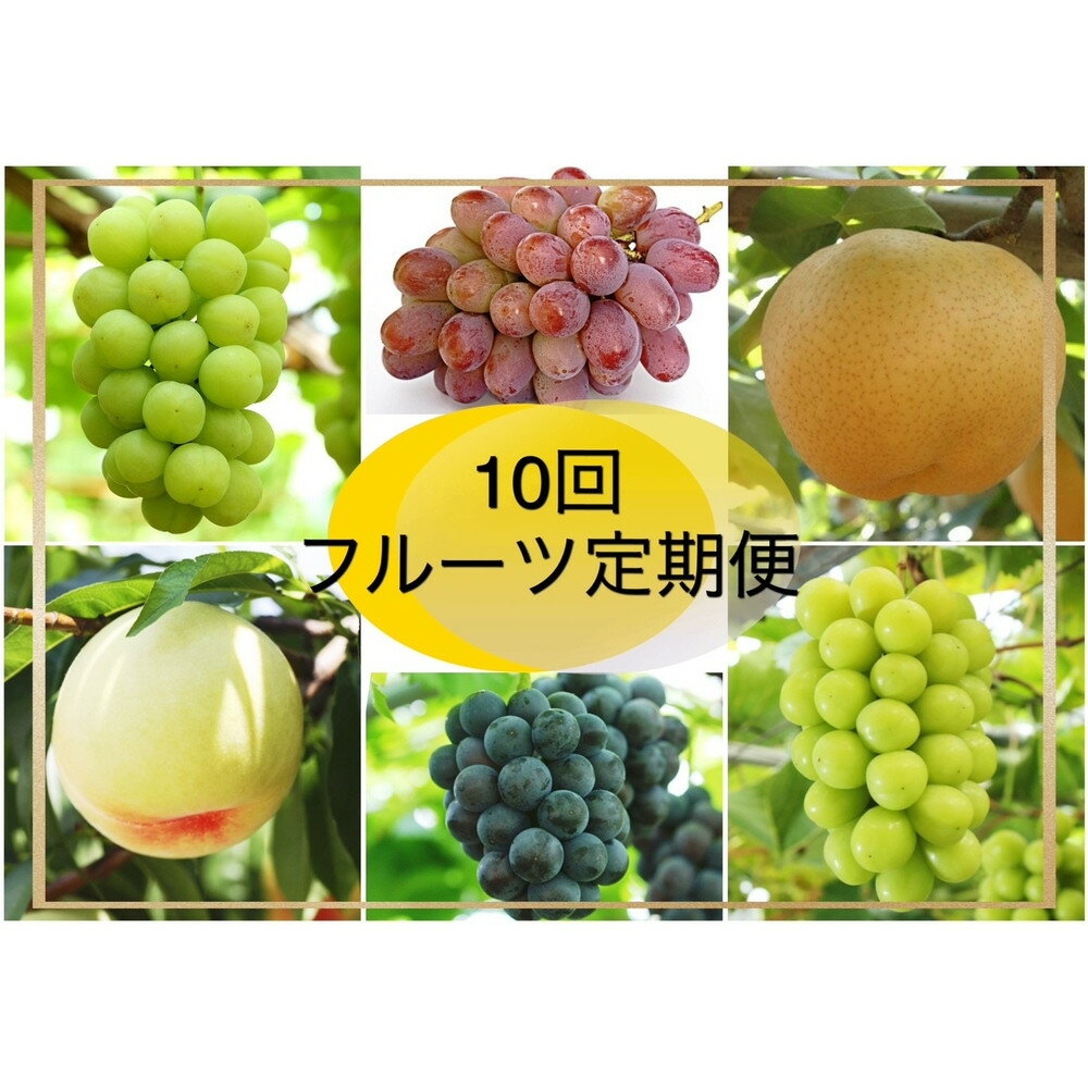 【2026年発送】岡山県産　フルーツ定期便10回コース