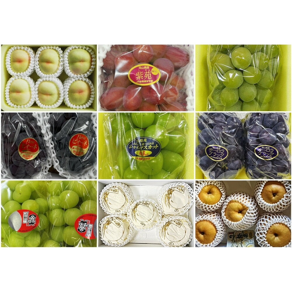 【ふるさと納税】【2026年発送】岡山県産　フルーツ定期便10回コース サムネイル2