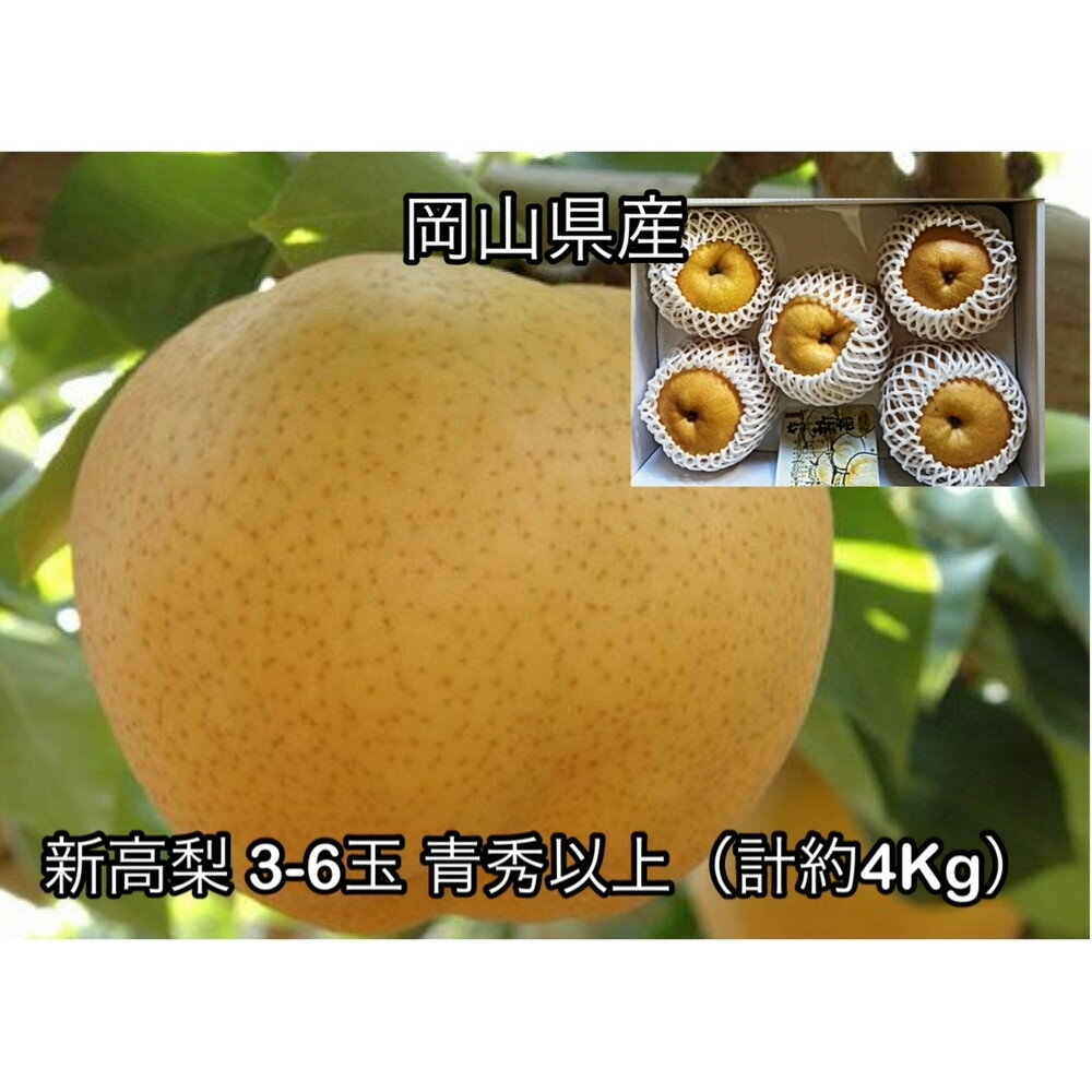 【2026年発送】岡山県産 新高梨 3～6玉 青秀以上 (計約4.0kg)化粧箱入り