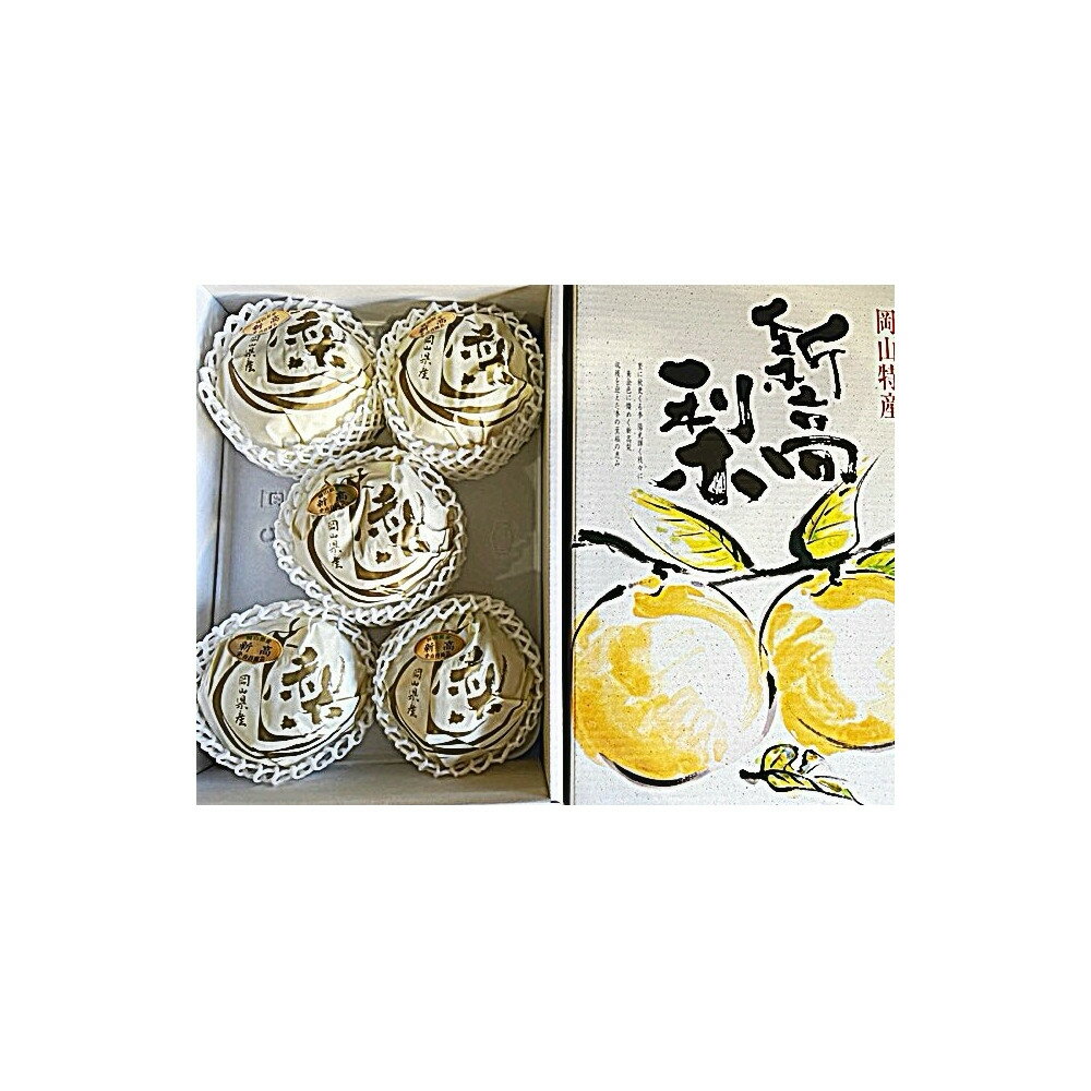 【ふるさと納税】【2026年発送】岡山県産 新高梨 3～6玉 青秀以上 (計約4.0kg)化粧箱入り サムネイル2