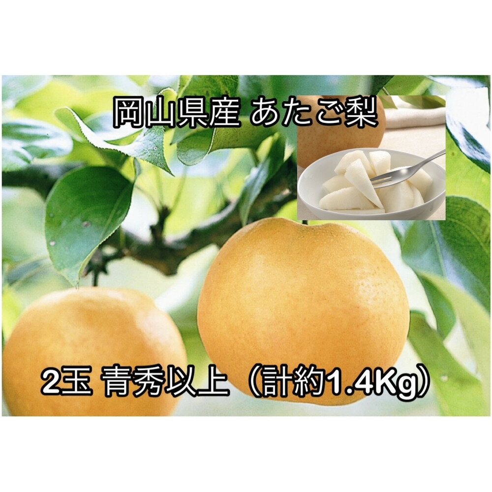 【2026年発送】岡山県産 あたご梨2玉 青秀以上 (計約1.4kg)化粧箱入り