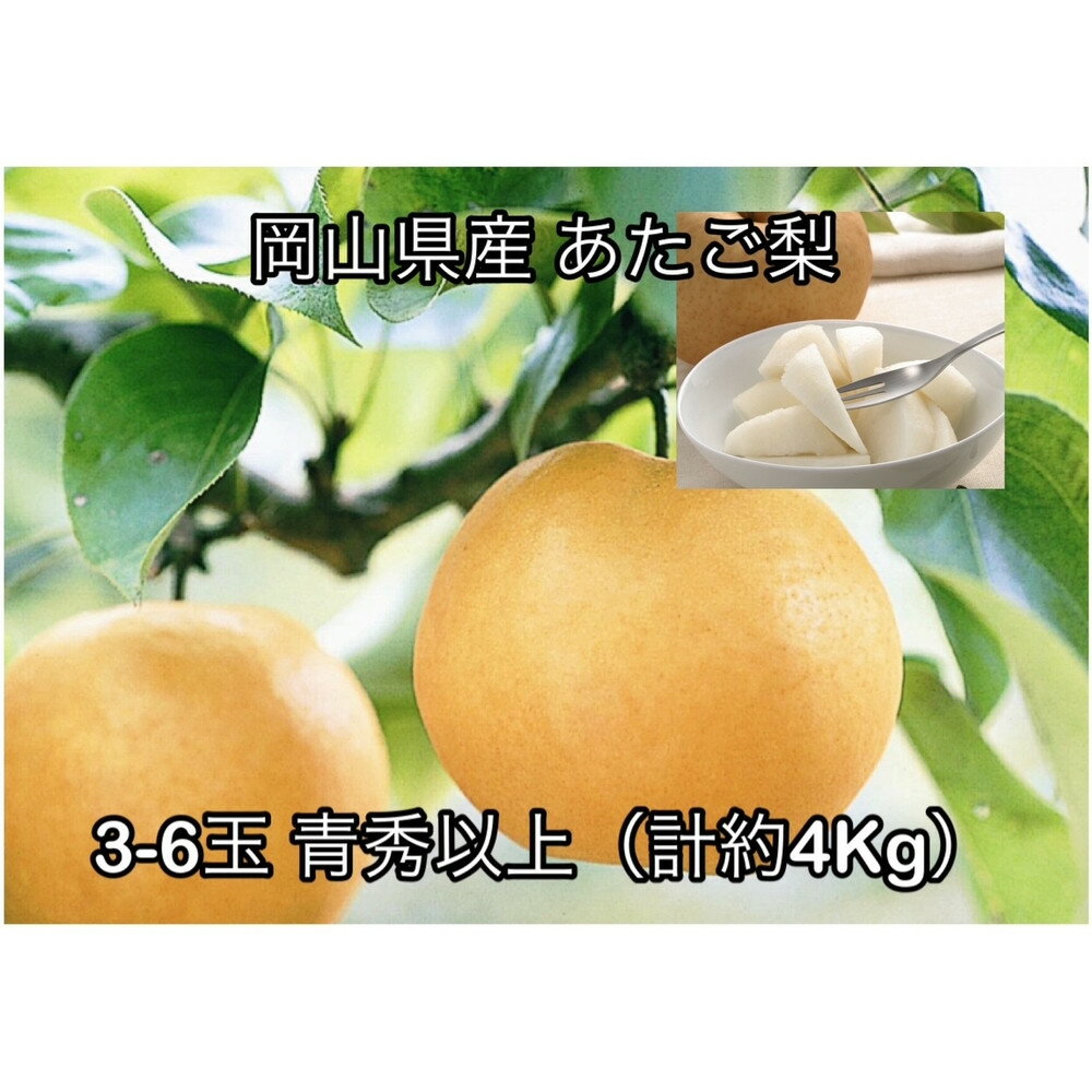 【2026年発送】岡山県産 あたご梨 3～6玉 青秀以上 (計約4.0kg)化粧箱入り