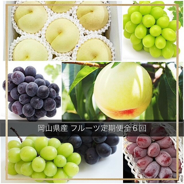 【全6回コース】2026年 岡山県産　旬のフルーツ定期便 | フルーツ 果物 くだもの 食品 人気 おすすめ 送料無料