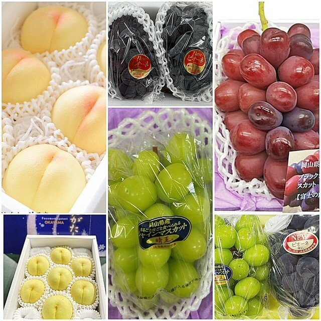 【ふるさと納税】【全6回コース】2026年 岡山県産　旬のフルーツ定期便 | フルーツ 果物 くだもの 食品 人気 おすすめ 送料無料 サムネイル2