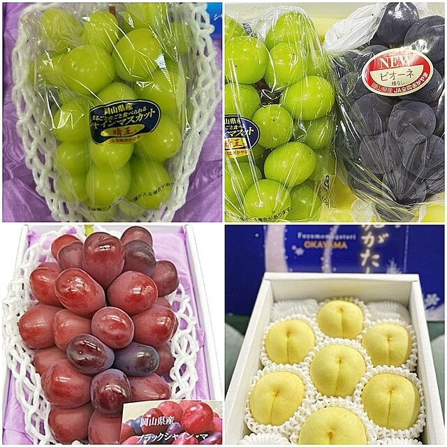 【ふるさと納税】フルーツ 2026年 岡山県産 定期便 4回コース（シャインマスカット・ニューピオーネ・岡山冬桃がたり等） | 果物 期間限定 桃 もも momo 葡萄 ぶどう ブドウ シャインマスカット シャイン マスカット ニューピオーネ ピオーネ 甘い 岡山市 サムネイル2