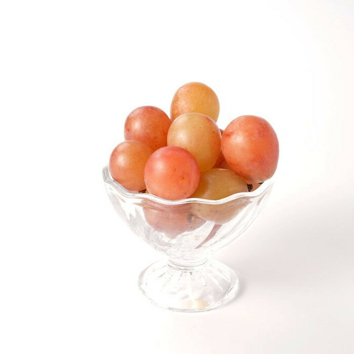 【ふるさと納税】ぶどう 2026年 クイーンニーナ 大粒のみ 36粒 JEWELBOX ギフト 贈り物 岡山 国産 果物 フルーツ | フルーツ 果物 くだもの 食品 人気 おすすめ 送料無料 サムネイル2