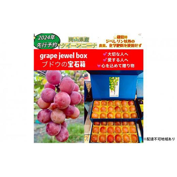 【ふるさと納税】ぶどう 2026年 クイーンニーナ 大粒のみ 36粒 JEWELBOX ギフト 贈り物 岡山 国産 果物 フルーツ | フルーツ 果物 くだもの 食品 人気 おすすめ 送料無料 サムネイル3