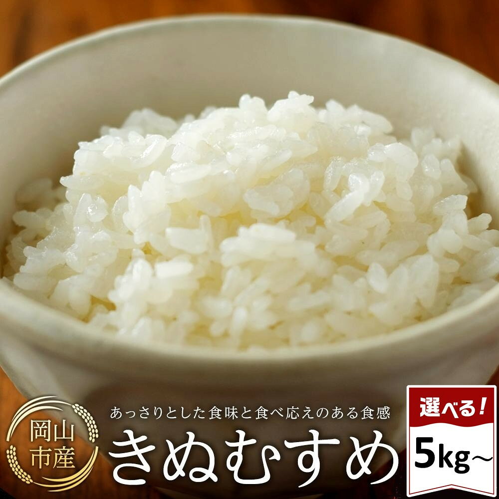 令和8年産 米 きぬむすめ 岡山市産 精米 選べる内容量 | 美味しい お米 白米 おいしい 米 こめ おこめ コメ 精米 きぬむすめ 返礼品 納税 お取り寄せグルメ お取り寄せ 取り寄せ グルメ