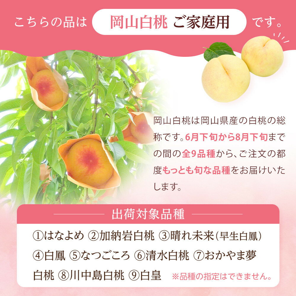 【ふるさと納税】桃 2026年 ご家庭用 岡山 白桃 選べる内容量 約2kg（5～10玉)・約1.4kg（4～6玉） | もも フルーツ 果物 くだもの 食品 人気 おすすめ 送料無料 岡山県 岡山市産 - 画像2