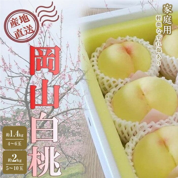 桃 2026年 ご家庭用 岡山 白桃 選べる内容量 約2kg（5～10玉)・約1.4kg（4～6玉） | もも フルーツ 果物 くだもの 食品 人気 おすすめ 送料無料 岡山県 岡山市産