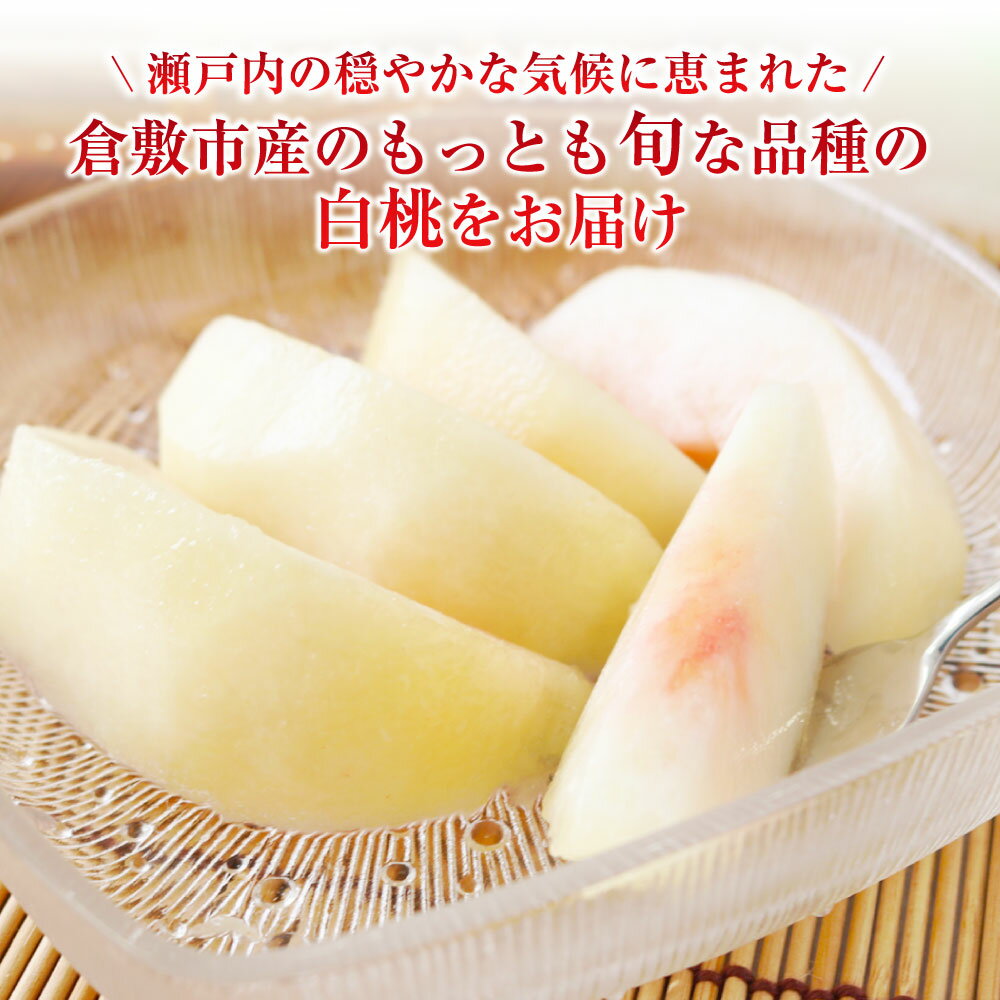 【ふるさと納税】白桃 約2kg（5～10玉） 晩生種 もも モモ 岡山県 倉敷市 産 国産 フルーツ 果物 ギフト 花田青果　果物・もも・桃・フルーツ　【2026年7月下旬～9月下旬迄順次発送予定】 11000円 1万1000円 - 画像2