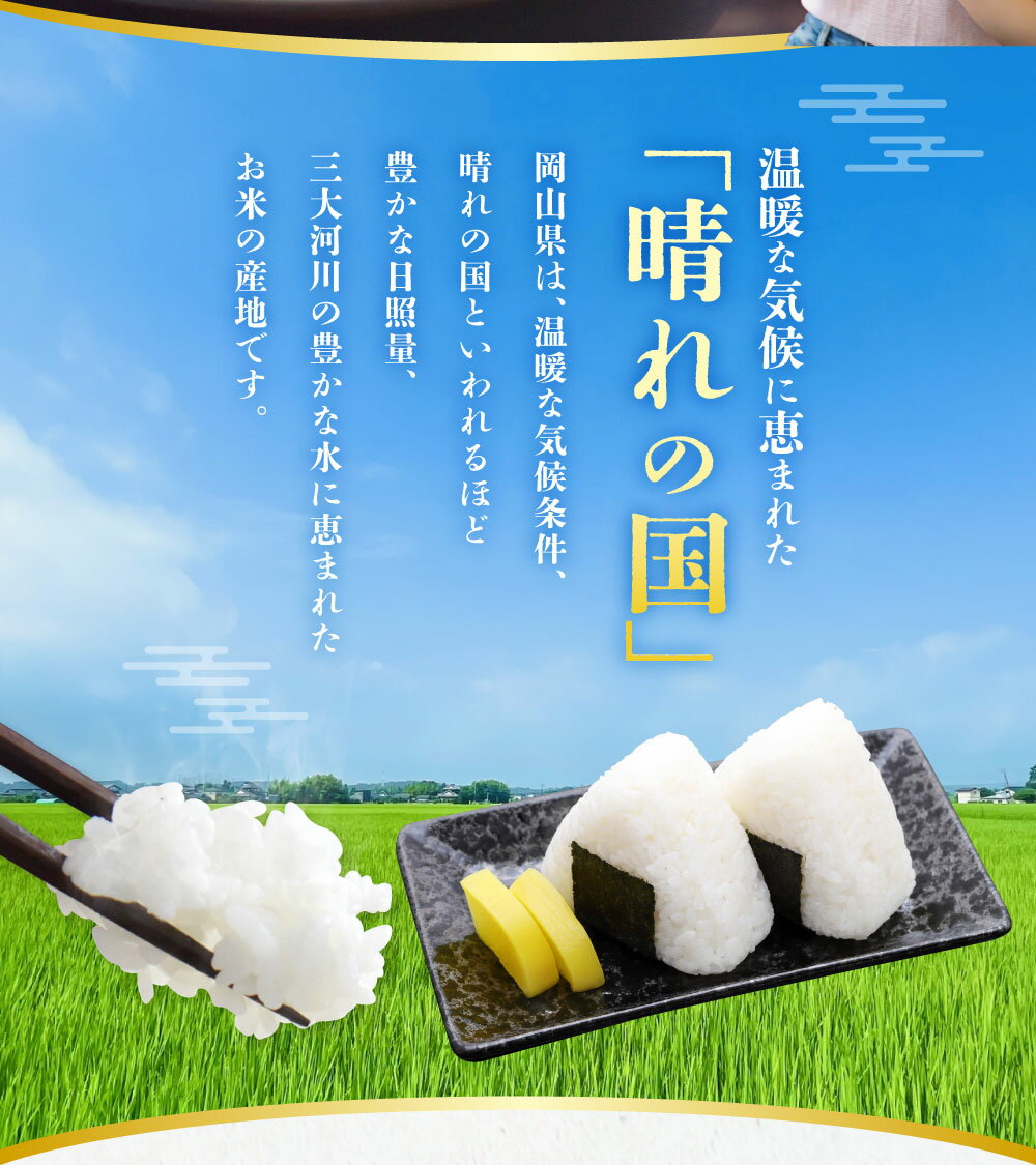 【ふるさと納税】＜選べる品種＞【令和7年産】コシヒカリ / きぬむすめ / あきたこまち / ひとめぼれ 計10kg（5kg×2袋） お米 米 こめ 白米 精米 単一原料米 ごはん ご飯 ブランド米 銘柄米 お弁当 おにぎり 主食 光沢 粘り 食卓 和食 日本食 国産 岡山県産 倉敷市 送料無料 - 画像3