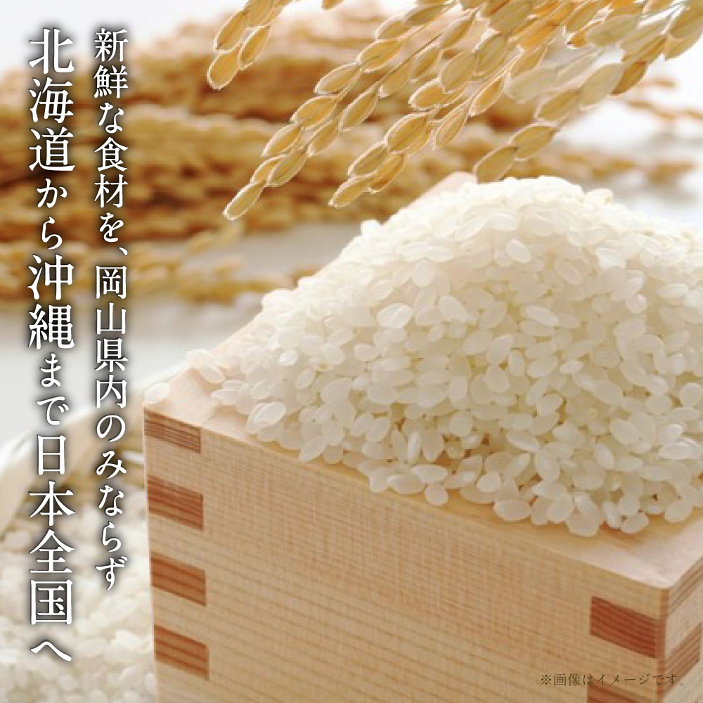 【ふるさと納税】【選べる定期便】コシヒカリ 10kg（5kg×2袋）計30kg 計60kg 定期便 3ヵ月 6ヵ月 岡山県産 米 お米 白米　 ライス ブランド米 銘柄米 ご飯 おにぎり お弁当 主食 光沢 粘り 食卓 和食 日本食 - 画像3