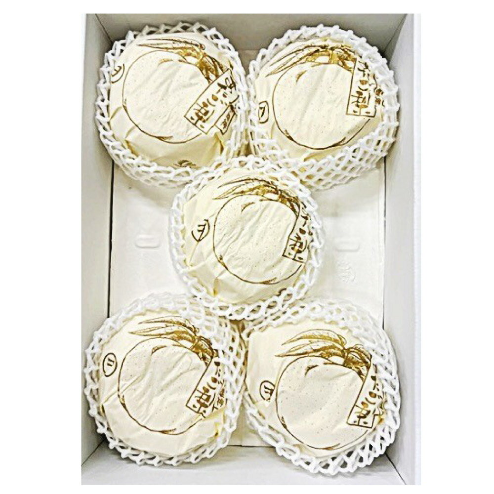 【ふるさと納税】梨 2025年 先行予約 あたご梨 ＜選べる内容量＞ 3～6玉（約4kg）・2玉（約1.7kg） 化粧箱入り なし ナシ 岡山県産 国産 フルーツ 果物 ギフト 岡山県 倉敷市 送料無料 【2025年11月下旬～12月下旬 発送予定】 サムネイル3