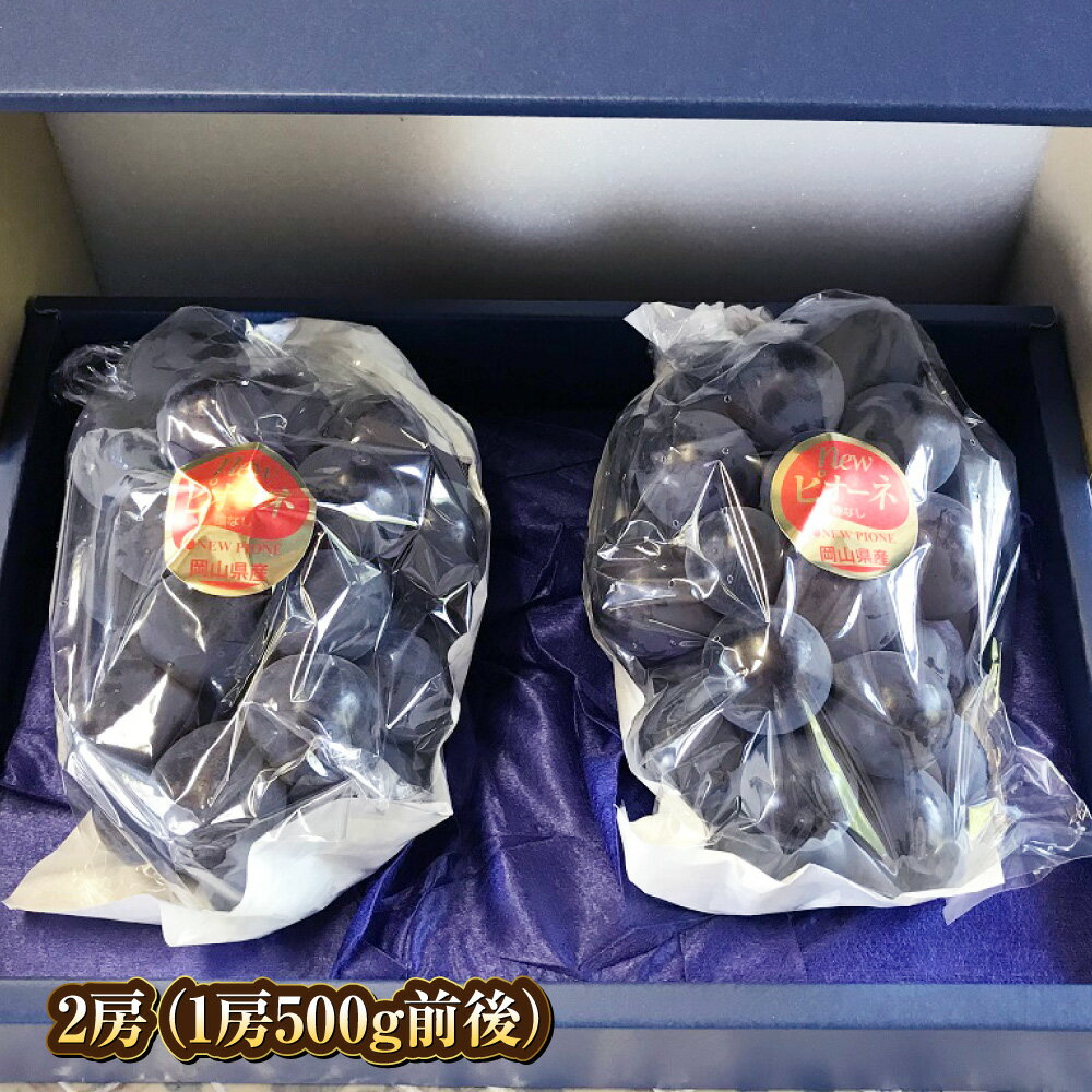 【ふるさと納税】＜選べる容量＞ぶどう 2026年 先行予約 ニュー ピオーネ 1～2房（1房500g～650g前後） 産地直送 ブドウ 葡萄 岡山県産 国産 フルーツ 果物 ギフト たけまさぶどう園　果物・ぶどう・フルーツ【2026年7月下旬～9月下旬 発送予定】 サムネイル3