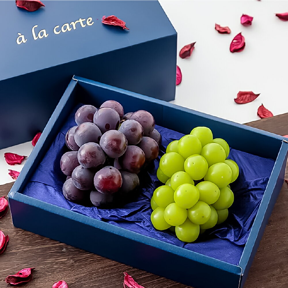 【ふるさと納税】ニューピオーネ・シャインマスカット 1房500g前後 各1房 計2房 化粧箱入り ぶどう ブドウ 葡萄 くだもの 果物 果実 フルーツ ギフト 贈答 贈り物 冷蔵 岡山県産 国産 岡山県 倉敷市 送料無料 【2026年8月下旬～2026年10月上旬迄順次発送予定】 サムネイル2