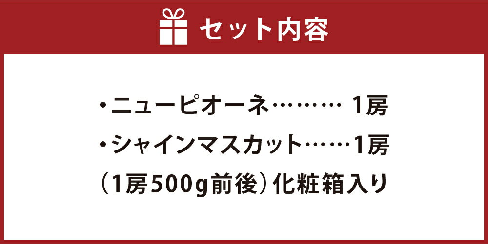 【ふるさと納税】ニューピオーネ・シャインマスカット 1房500g前後 各1房 計2房 化粧箱入り ぶどう ブドウ 葡萄 くだもの 果物 果実 フルーツ ギフト 贈答 贈り物 冷蔵 岡山県産 国産 岡山県 倉敷市 送料無料 【2026年8月下旬～2026年10月上旬迄順次発送予定】 サムネイル3