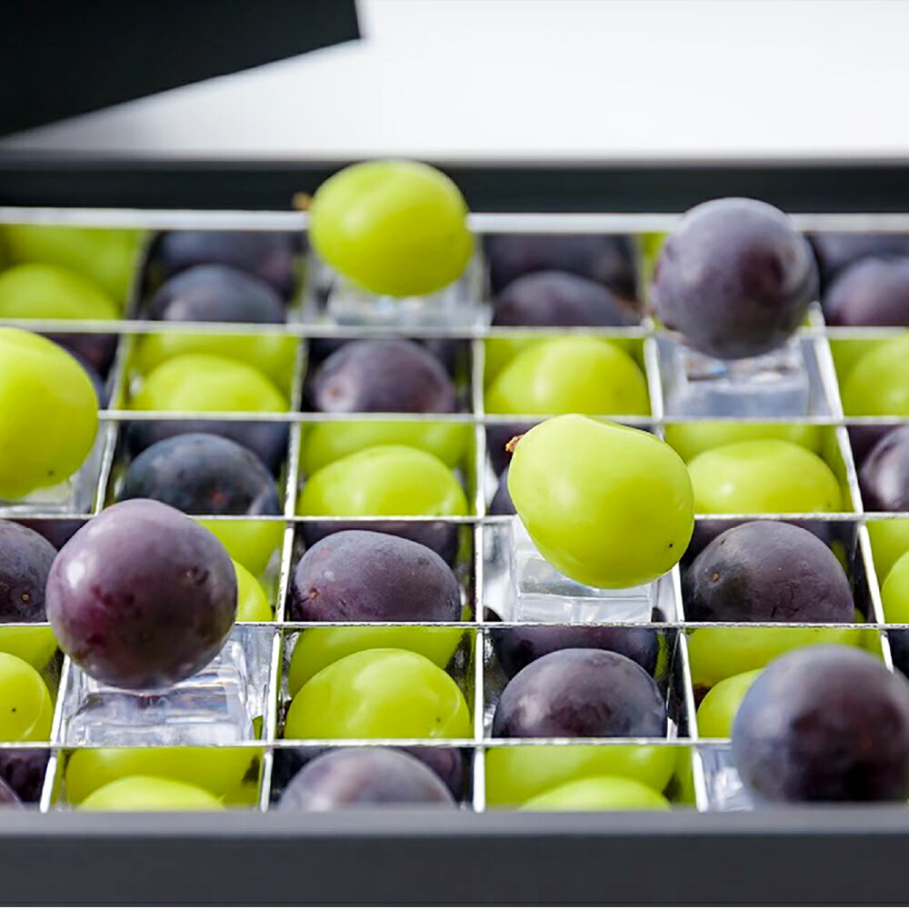 ぶどうの宝石箱（シャインマスカットとニューピオーネ又はオーロラブラック） 36粒（1粒14g以上） 1箱 贈答用 ぶどう ブドウ 葡萄 くだもの 果物 果実 フルーツ ギフト 冷蔵 国産 岡山県産 倉敷市 送料無料 【2026年8月下旬～2026年9月下旬迄順次発送予定】