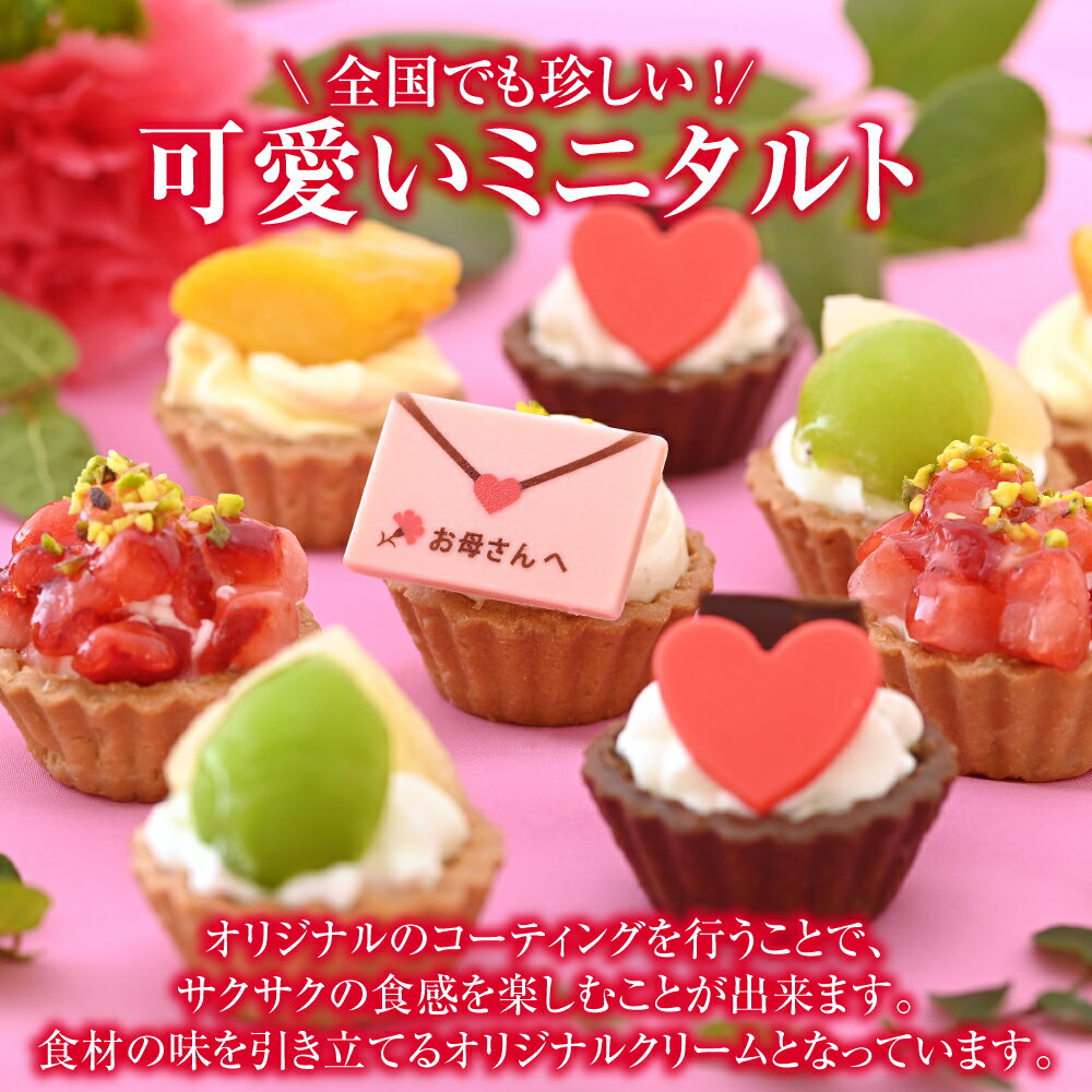【ふるさと納税】母の日限定 みにたるとセット 9個入 【オンライン決済限定】 ミニタルト タルト 母の日ギフト スイーツ かわいい 華やか おしゃれ ミニケーキ スイーツ詰め合わせ - 画像2