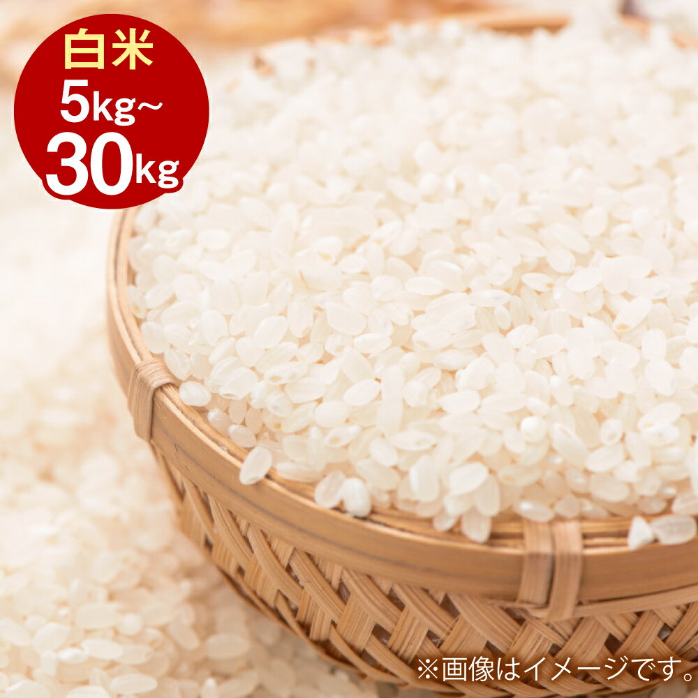 令和7年産 きぬむすめ (白米) 5kg 10kg 20kg 30kg 選べる 容量 岡山県産 白米 米 お米 倉敷市【2025年10月上旬より発送開始】